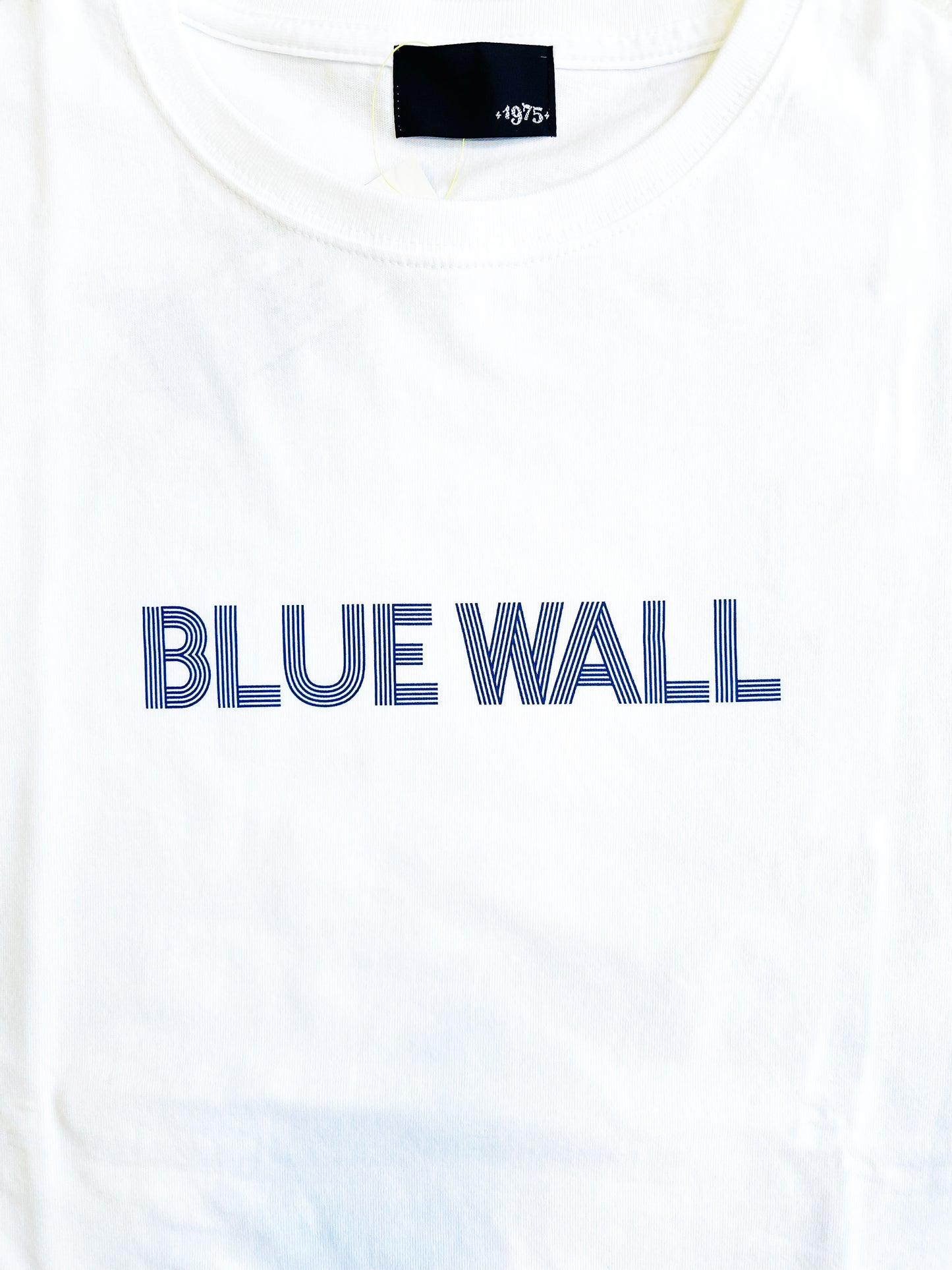 BLUE WALL TEE