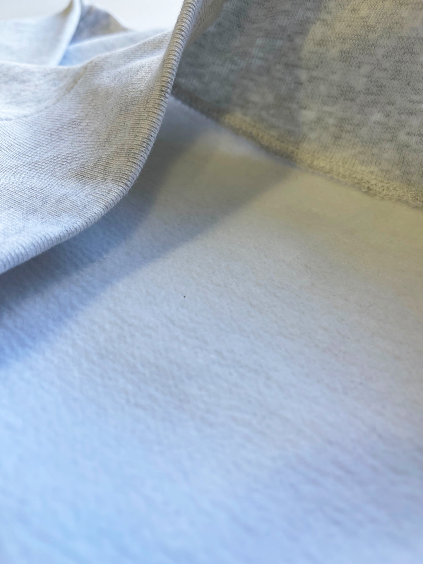 CA/WAVES HOODIE「裏起毛」