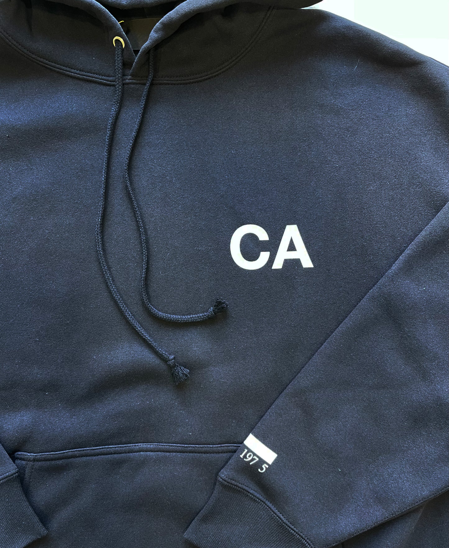 CA/WAVES HOODIE「裏起毛」
